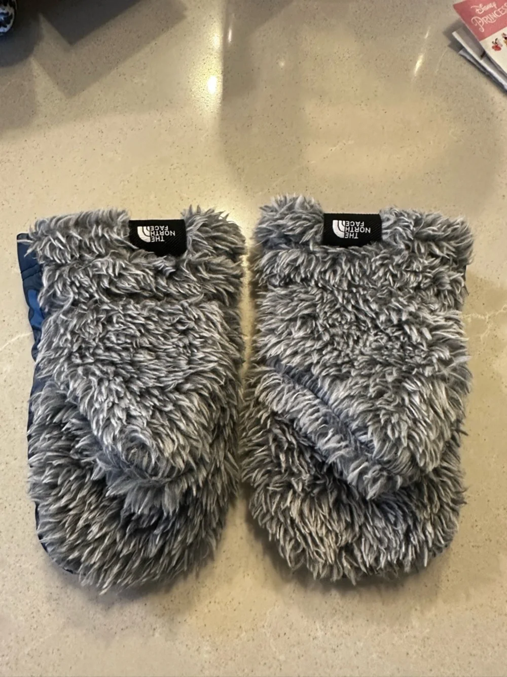 The North Face Navy and Blue Polar Bear Mittens